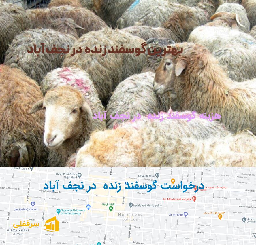 گوسفند زنده در نجف آباد