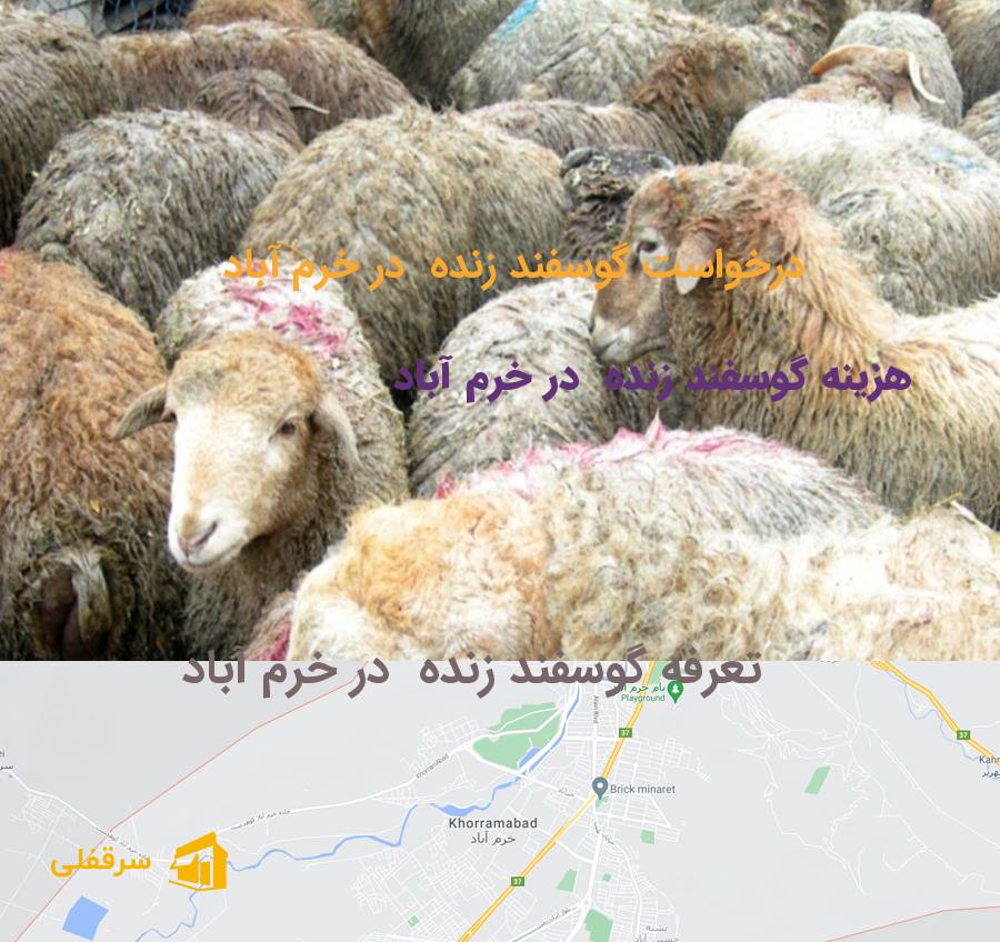 گوسفند زنده در خرم آباد