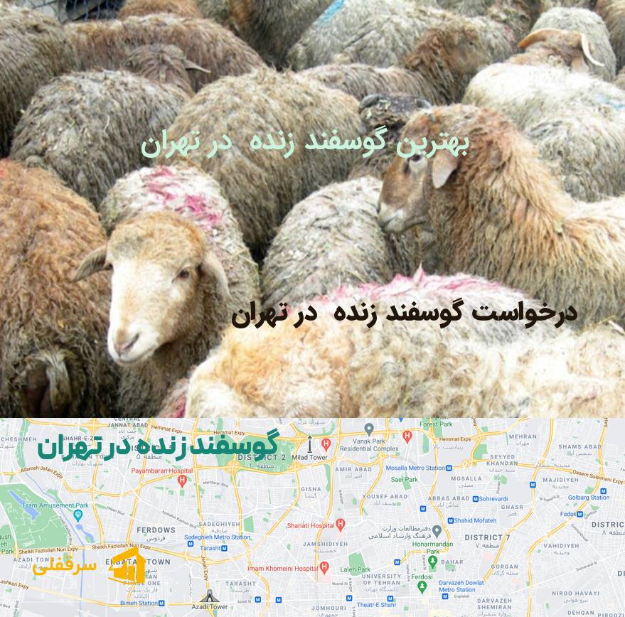 گوسفند زنده در تهران