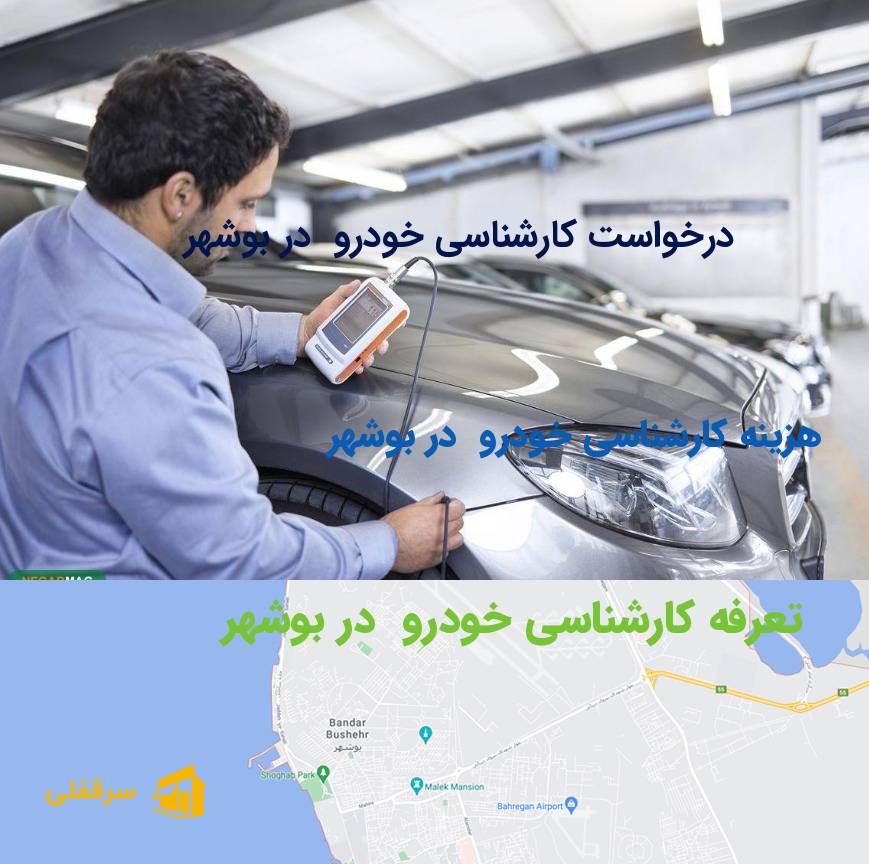 کارشناسی خودرو در بوشهر